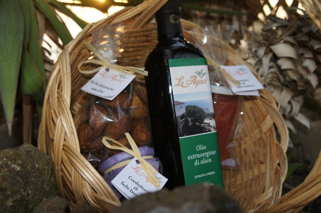 Alloggio per agriturismo Le Agavi *